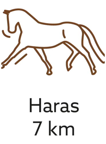icone_haras